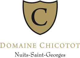 Domaine Georges Chicotot - Nuits Saint Georges