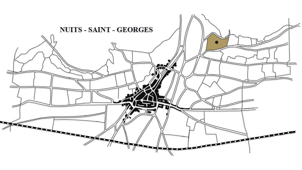 nuits-saint-georges-1er-crus-aux-torey-carte