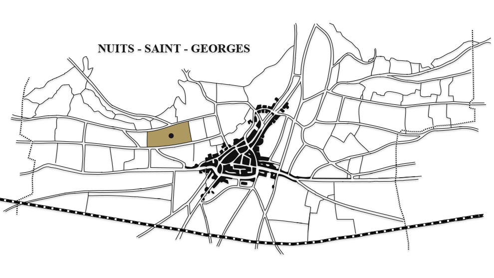 nuits-saint-georges-1er-crus-les-pruliers-carte