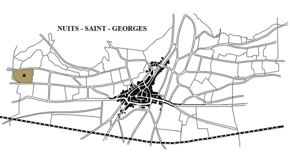 nuits-saint-georges-1er-crus-les-st-georges-carte