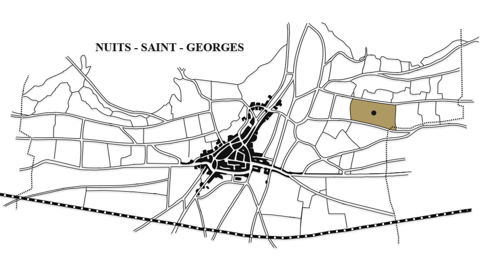 nuits-saint-georges-aux-allots-carte