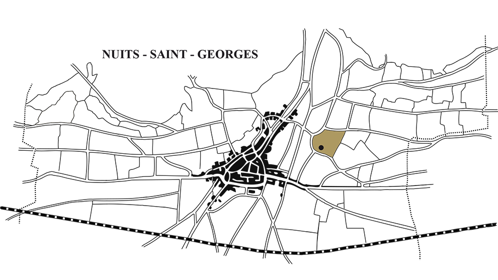 nuits-saint-georges-aux-saint-juliens-carte