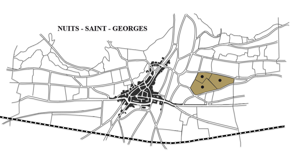 nuits-saint-georges-vieilles-vignes-carte